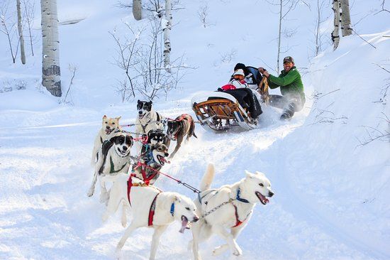 Krabloonik Dogsled Rides